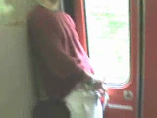 masturbator on the train